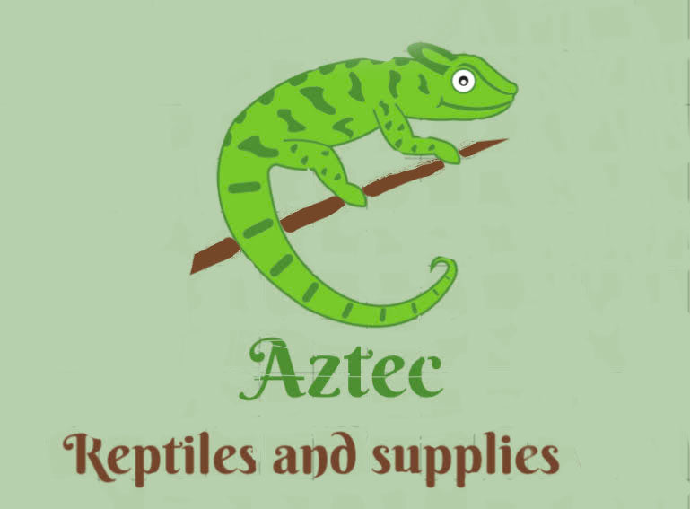 Aztec Reptiles